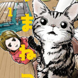 つまねこ~妻とねこの話~